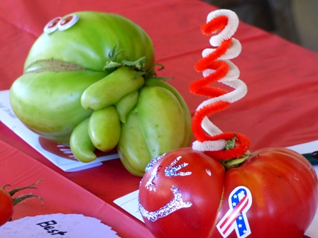 Ugly and Best Dressed entries in Annual Tomato Festival contest. Ugly and Best Dressed Tomato Contest Entries at Annual Tomato Festival
