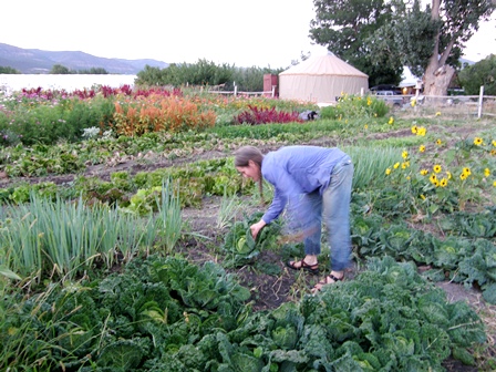 North Fork Valley produce