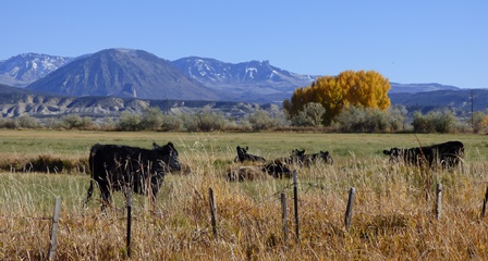 Semi-rural means beautiful views and land-based economies.