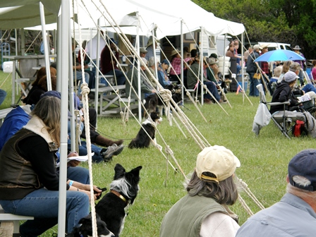 Hotchkiss Sheep Camp Stock Dog Trials.