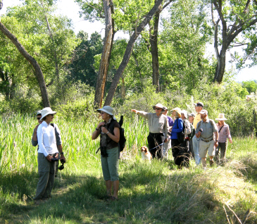 Hiking and birdwatching along the North Fork of the Gunnison River