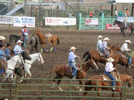 Warm up for Ranch Rodeo at the Delta County Fair.