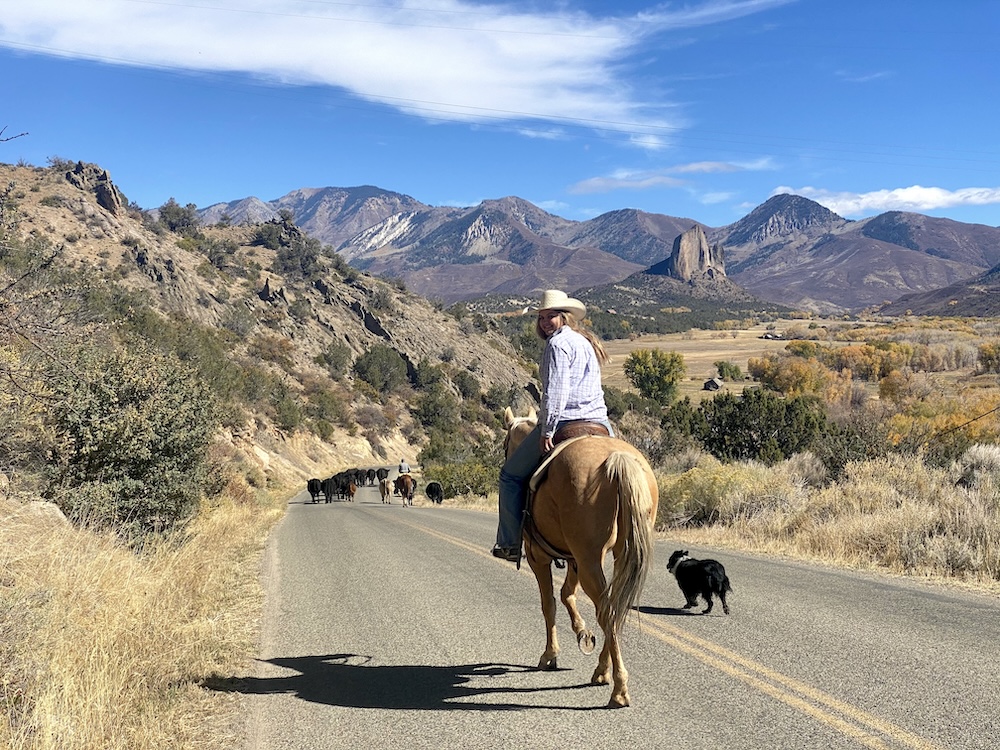 North Fork Valley Chamber of Commerce from the towns and areas of